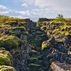 DSC 9620
